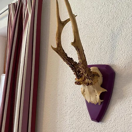 Hofgut Homboll Holiday home *