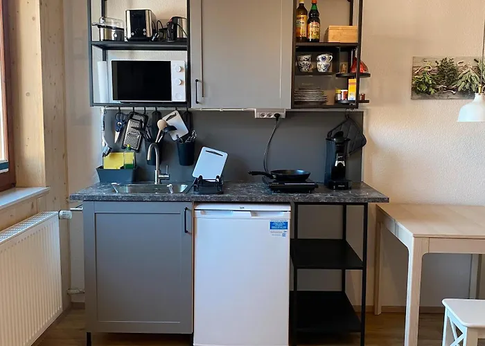 Σπίτι διακοπών Hofgut Homboll Hilzingen